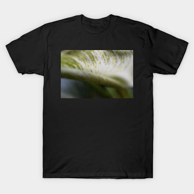 Curled Foliage leaf T-Shirt by ToniaDelozier